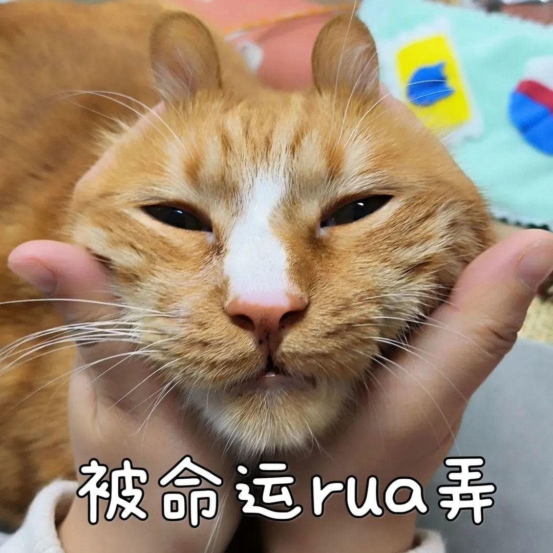 遵义爱心彩虹养老院