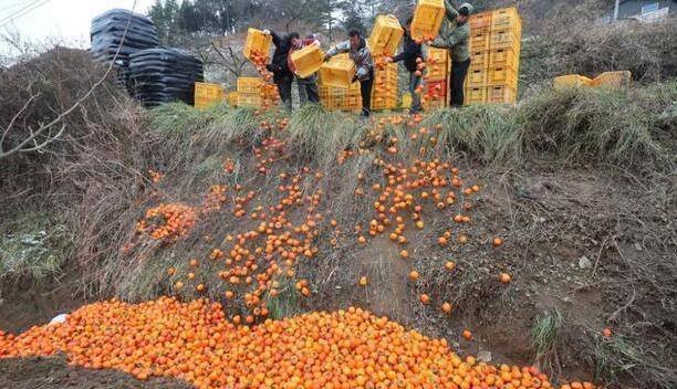 南充友豪养老院