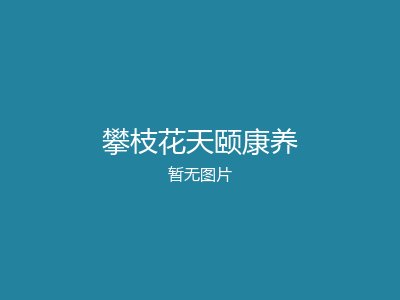 攀枝花天颐康养