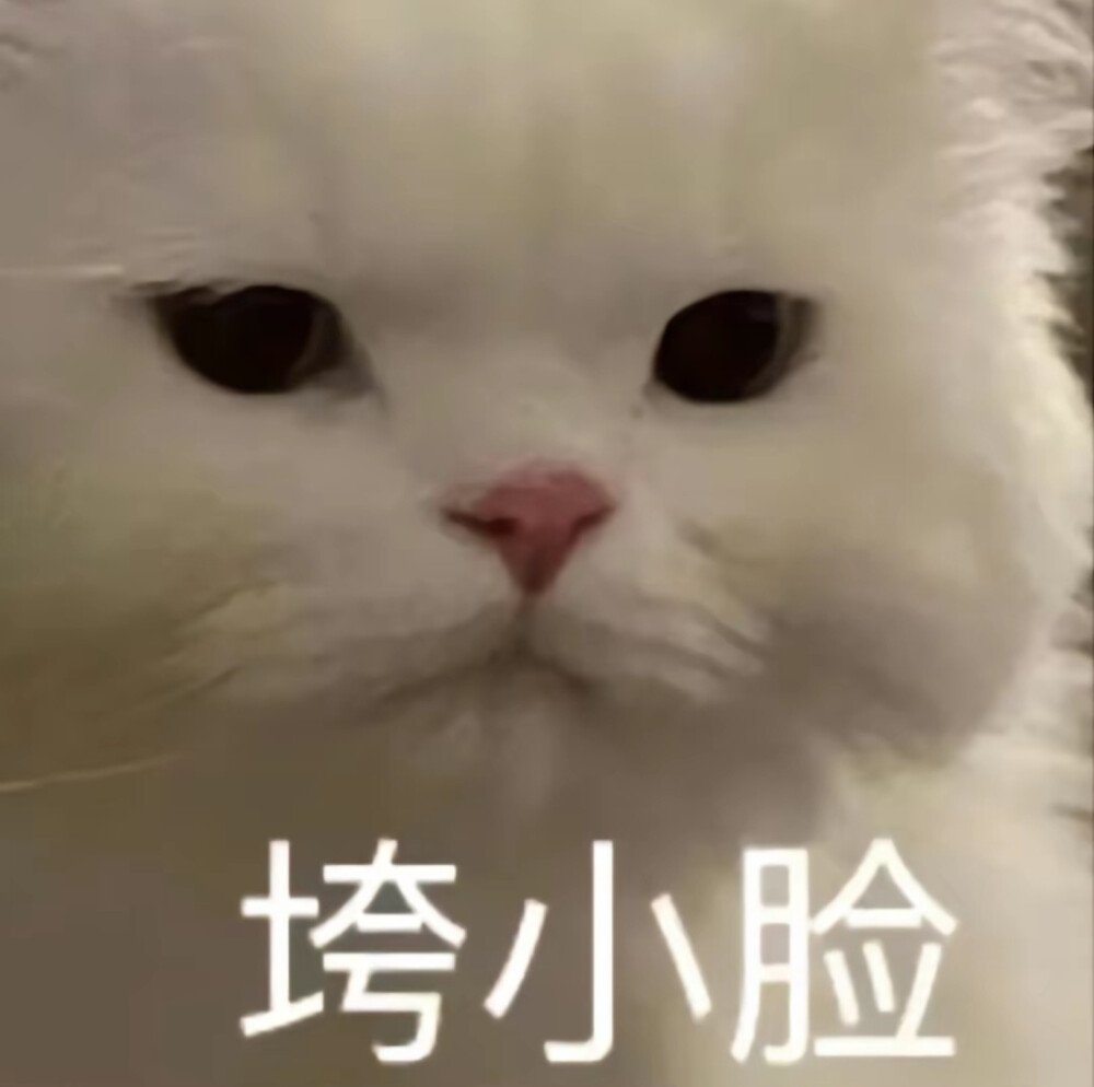 荆门慈心美德养老院