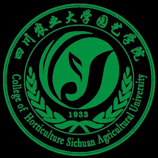 西安市阎良区人民路养老社区