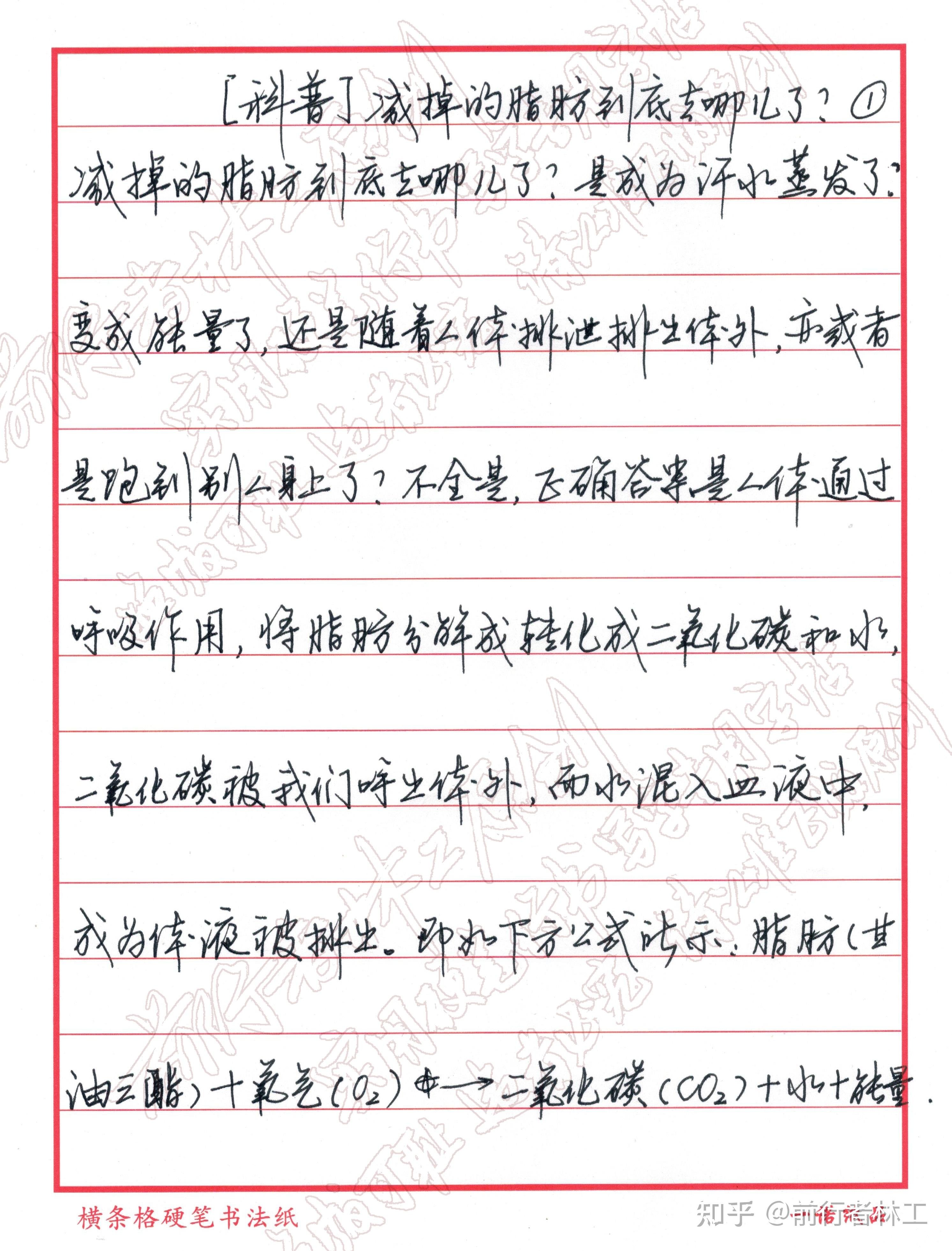 通化梅河口市阳光爱心老年护