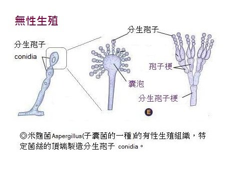 绥化安达市旭阳老年公寓