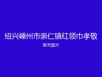 绍兴嵊州市崇仁镇红领巾孝敬