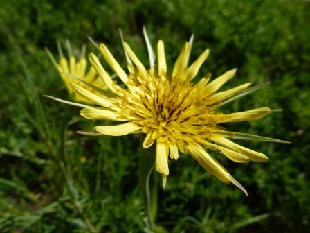 淮安市淮阴区码头镇夕阳红托
