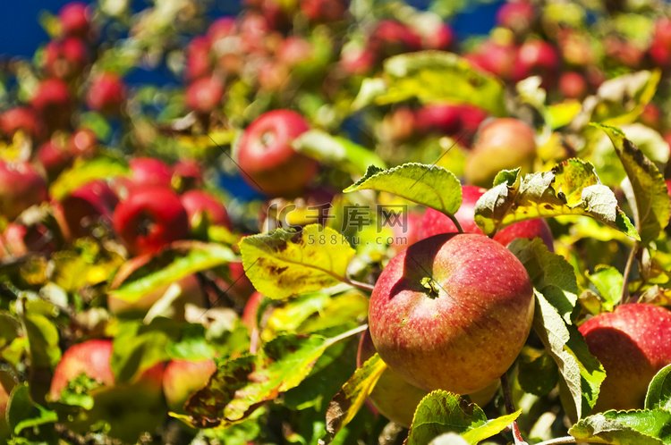 武汉洪山区泰康之家楚园养老院