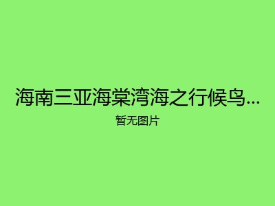 海南三亚海棠湾海之行候鸟旅居养老公寓