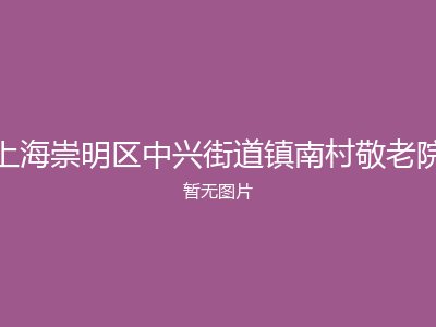 上海崇明区中兴街道镇南村敬老院