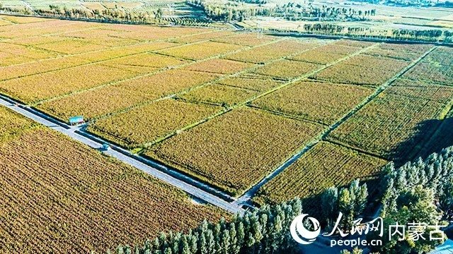 鹤壁山城区爱心日间照料活动