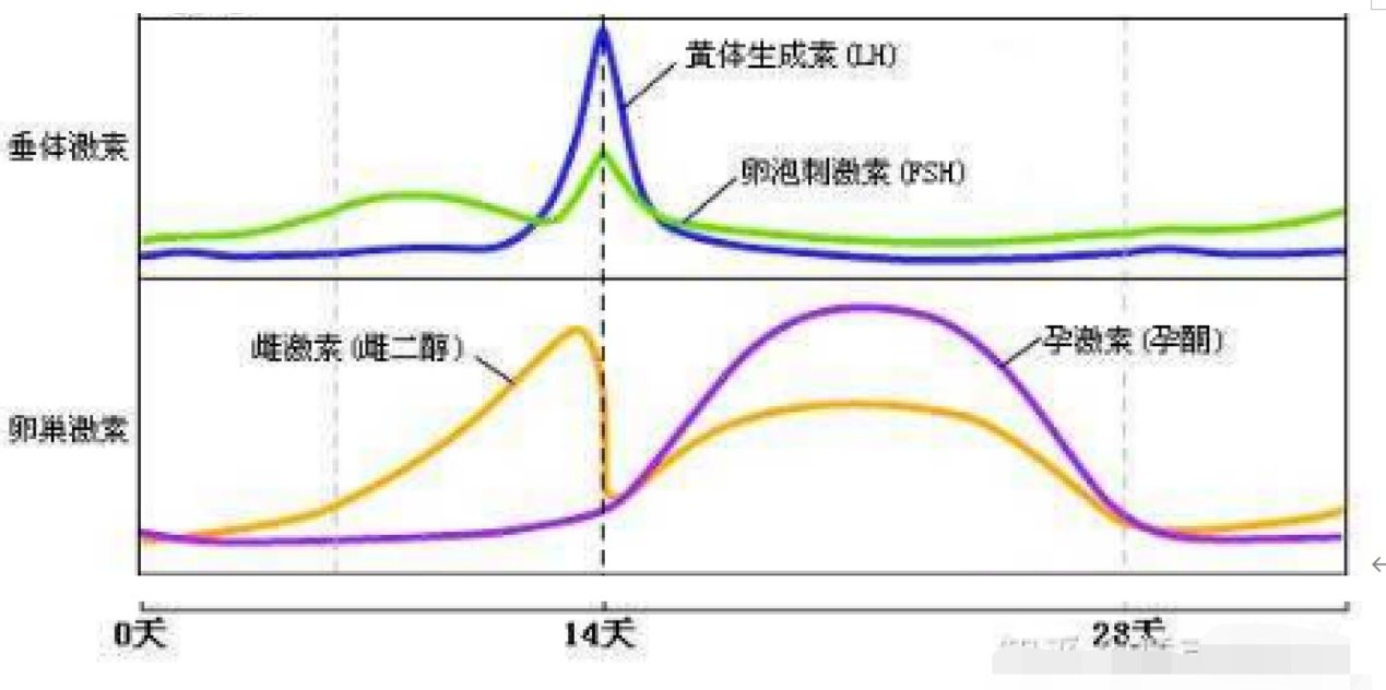 武汉江岸区三合社区养老院