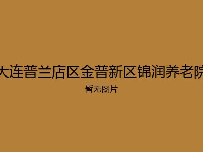 大连普兰店区金普新区锦润养老院