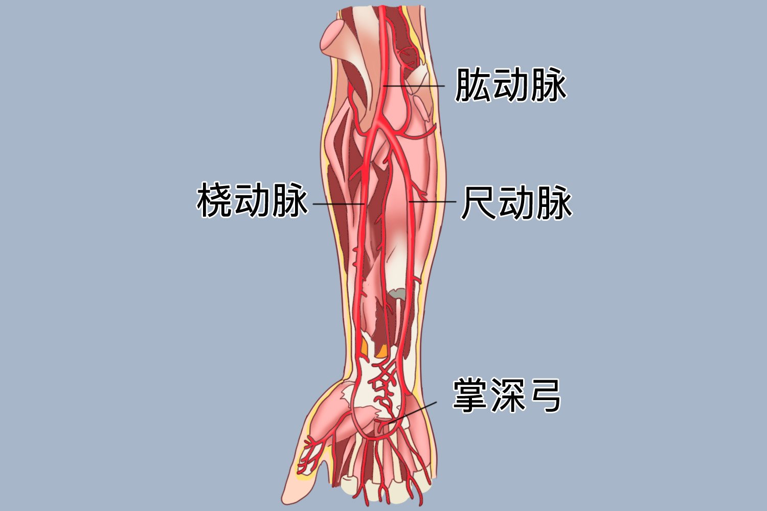 漯河光大汇晨老年公寓