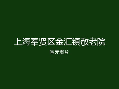 上海奉贤区金汇镇敬老院