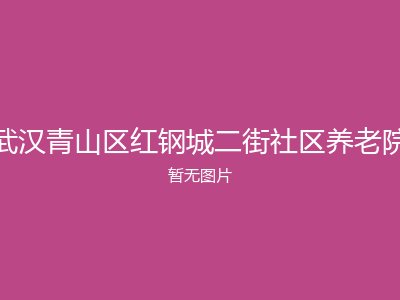 武汉青山区红钢城二街社区养老院