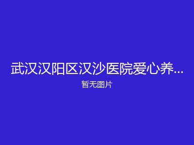 武汉汉阳区汉沙医院爱心养老照料中心