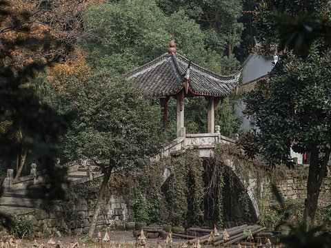 南昌泰康之家—赣园