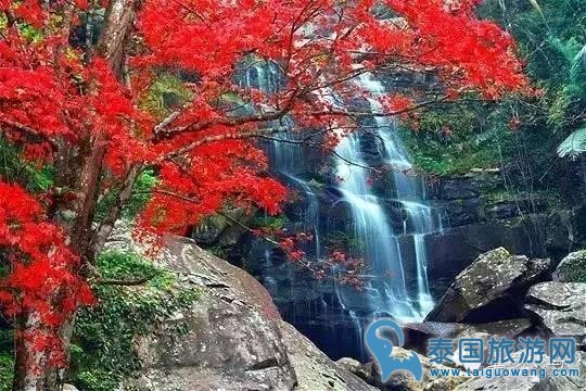 鄂尔多斯杭锦旗祥和福星老年