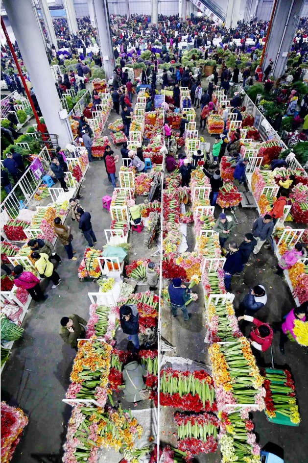 上海奉贤区奉浦老年护理医院