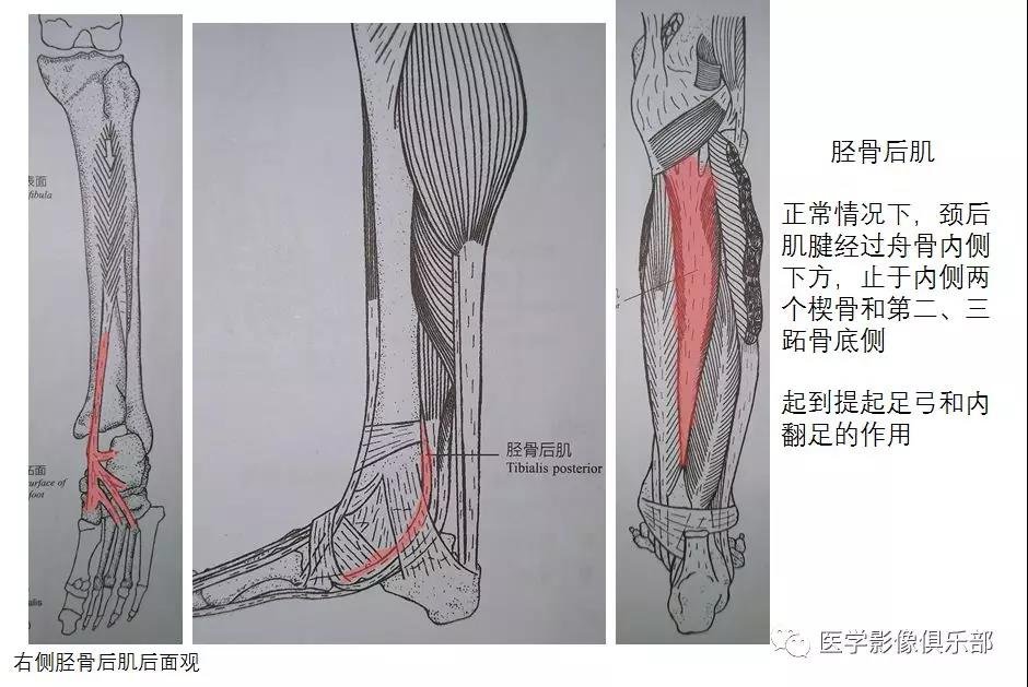 湖北省武汉市硚口区海工社区养老院