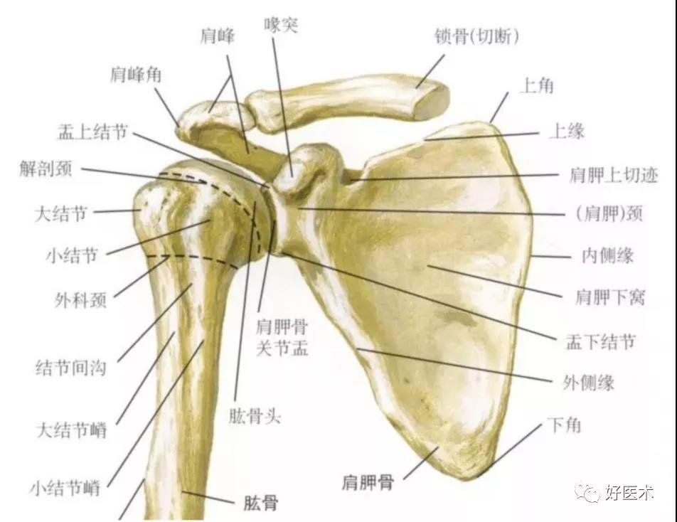湖北省荆门市东宝区福寿居老