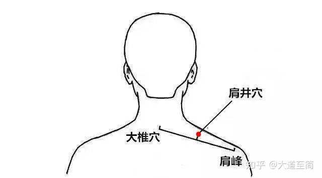 广州金沙洲◇泰成逸园养老社区