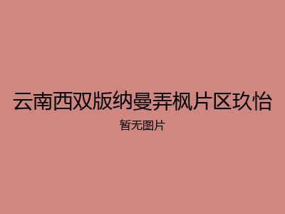 云南西双版纳曼弄枫片区玖怡