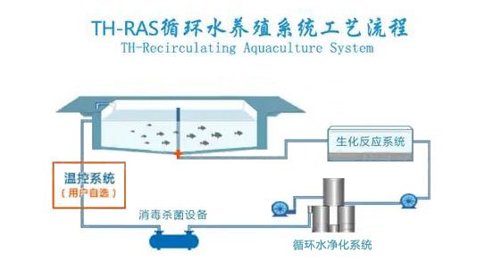 上海浦东新区新场镇坦直养老院