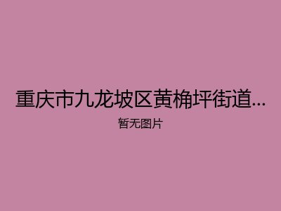 重庆市九龙坡区黄桷坪街道养老服务中心