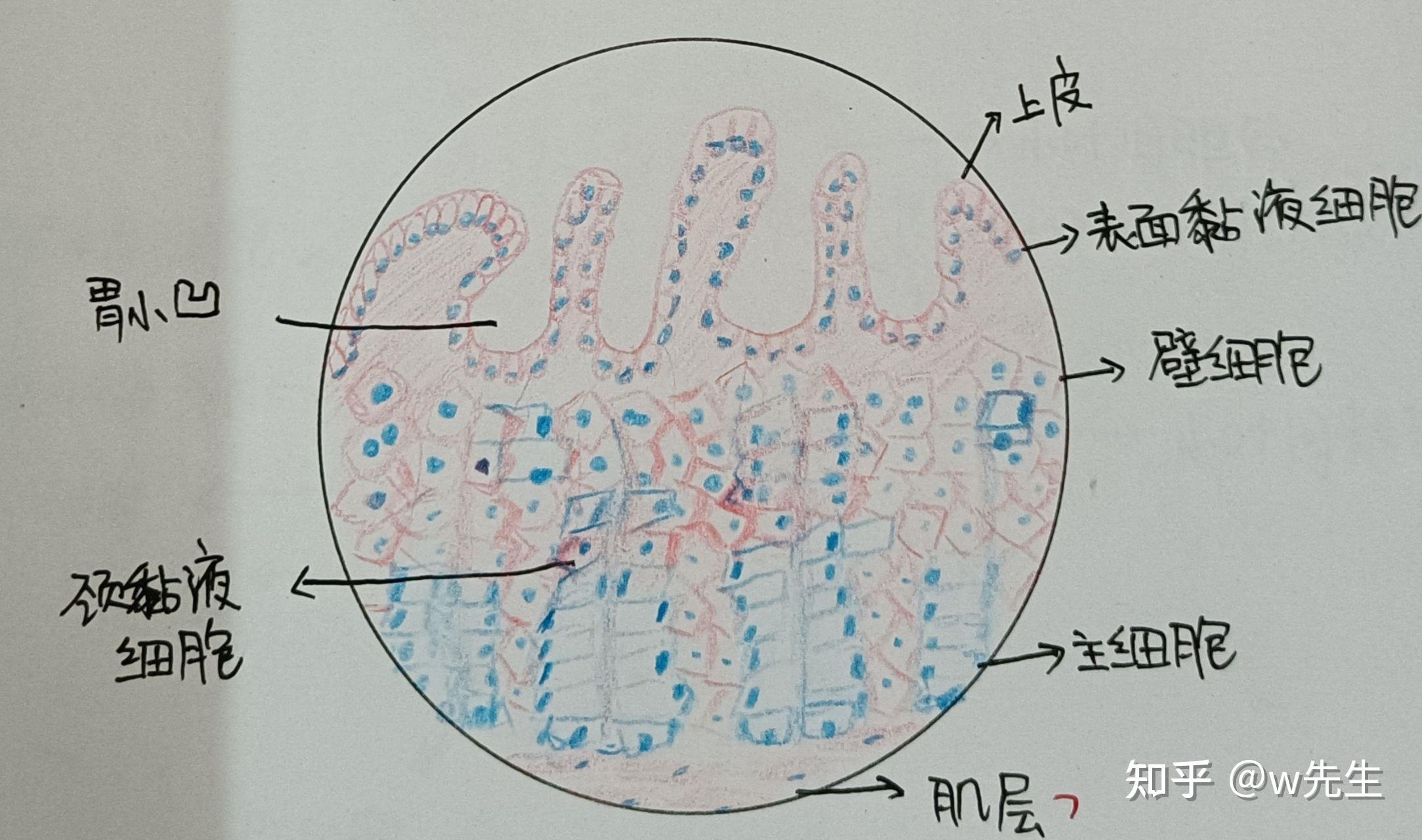 上海嘉定区统嘉玖玖护理院