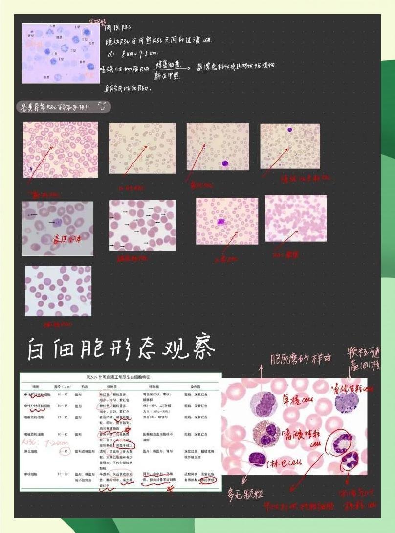 株洲盛康国际颐养苑