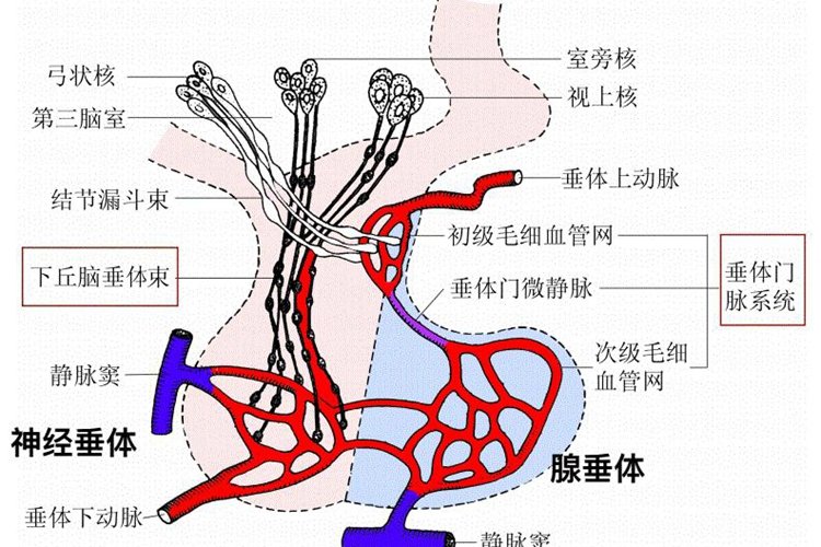 长春市宽城区祥瑞敬老院