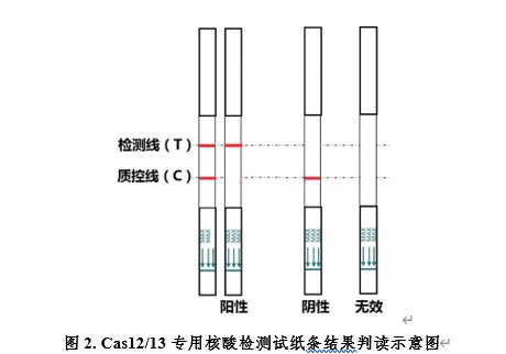 江西省九江市瑞昌市民政局社会福利院