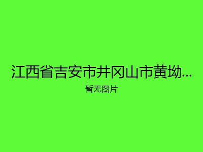 江西省吉安市井冈山市黄坳乡敬老院