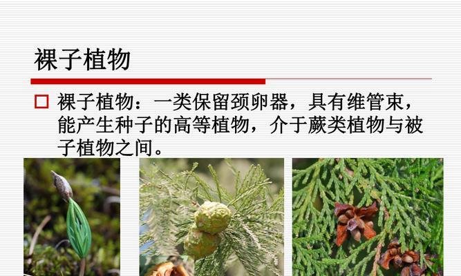 江西省赣州市石城县岩岭敬老院