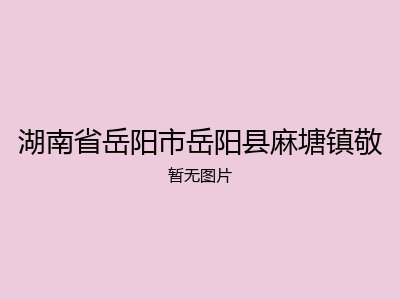 湖南省岳阳市岳阳县麻塘镇敬