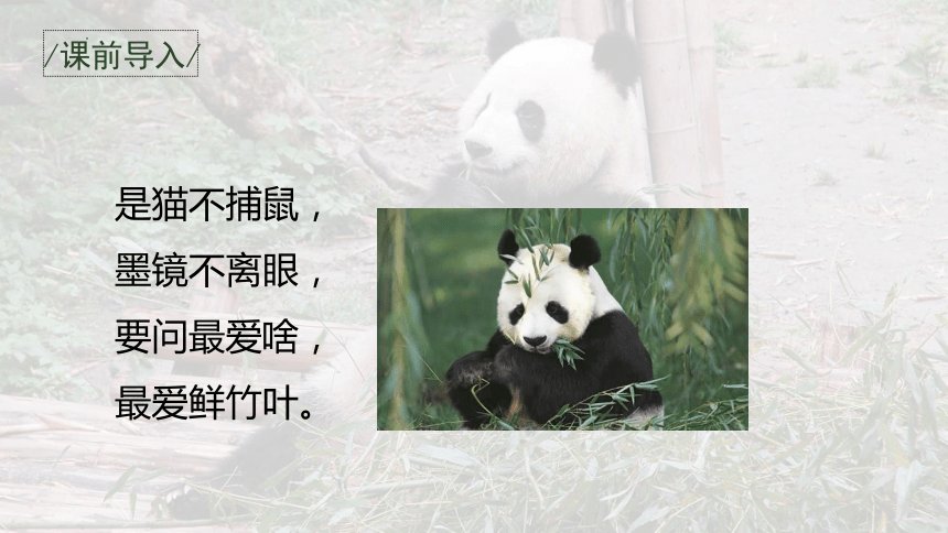 湖南省衡阳市常宁市庙前镇敬老院