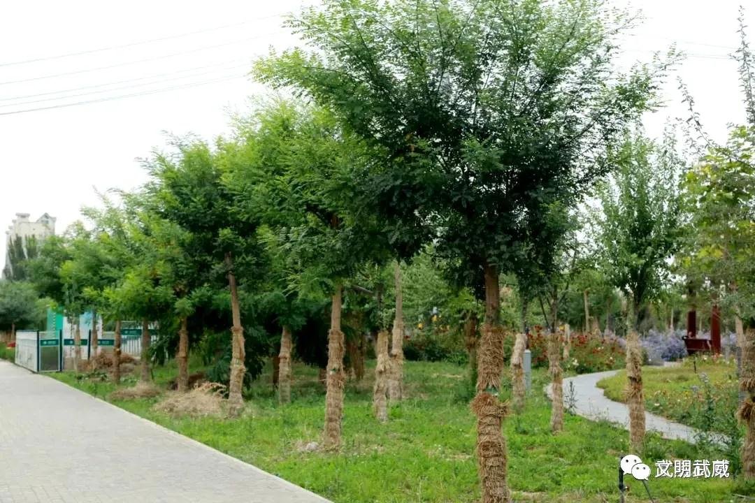 湖南省长沙市芙蓉区东岸乡敬老院