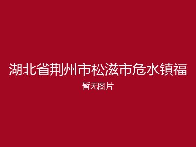 湖北省荆州市松滋市危水镇福