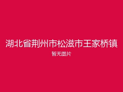 湖北省荆州市松滋市王家桥镇