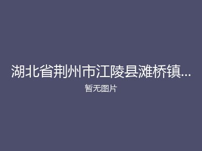 湖北省荆州市江陵县滩桥镇社会福利院
