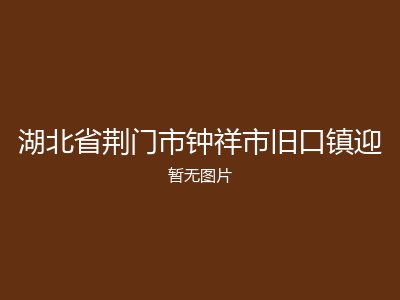 湖北省荆门市钟祥市旧口镇迎