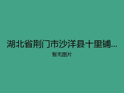 湖北省荆门市沙洋县十里铺镇福利院