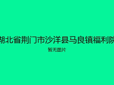 湖北省荆门市沙洋县马良镇福利院