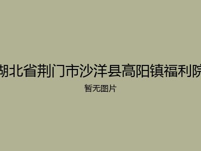 湖北省荆门市沙洋县高阳镇福利院