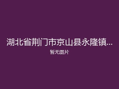 湖北省荆门市京山县永隆镇王宝福利院