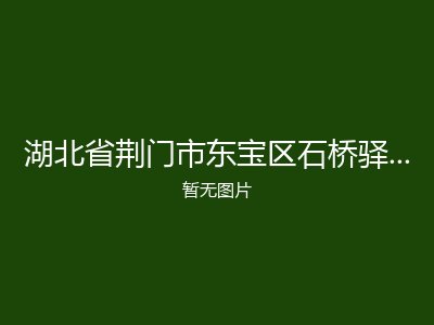 湖北省荆门市东宝区石桥驿盐池福利院