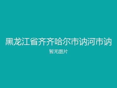 黑龙江省齐齐哈尔市讷河市讷