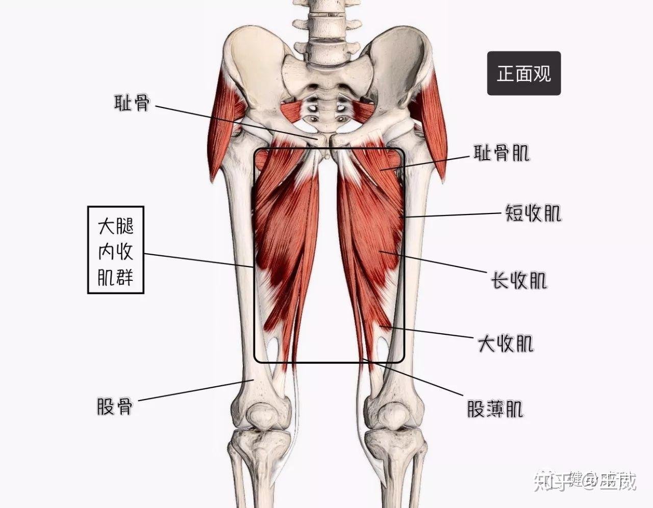 黑龙江省佳木斯市郊区莲江口