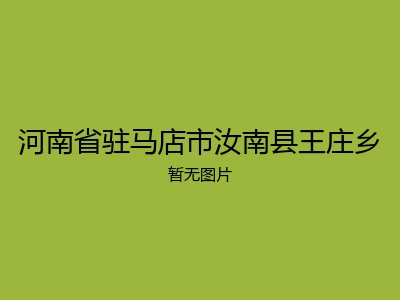 河南省驻马店市汝南县王庄乡