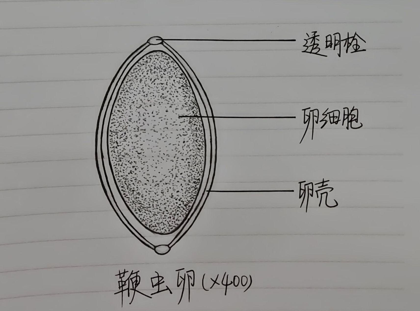 河南省驻马店市确山县留庄镇敬老院